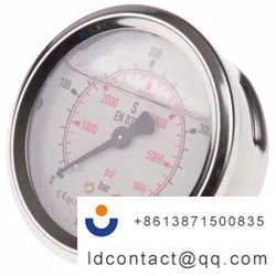 9314203_WIKA Stainless Steel Pointe